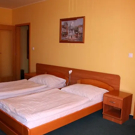 Guest house Penzion***q